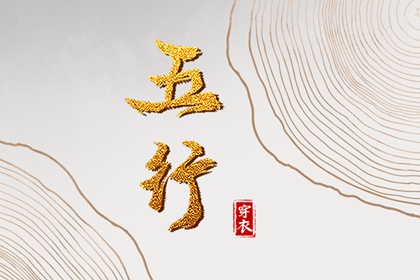 易安居紫薇排盘,排命盘,紫薇星斗数命盘,排紫微斗数命盘
