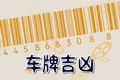 车牌数字解读