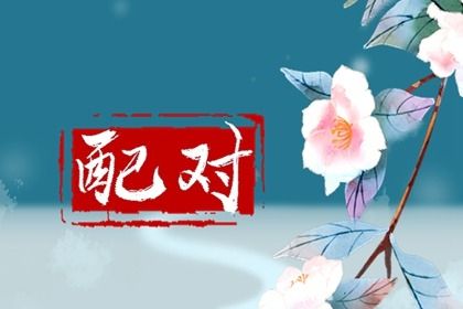 969车牌号打分_车牌照号码吉凶查询_量车牌号打分_车牌号吉凶占卜
